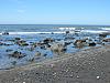 Hiking at Black Sands Beach