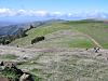 Hiking at Russian Ridge
